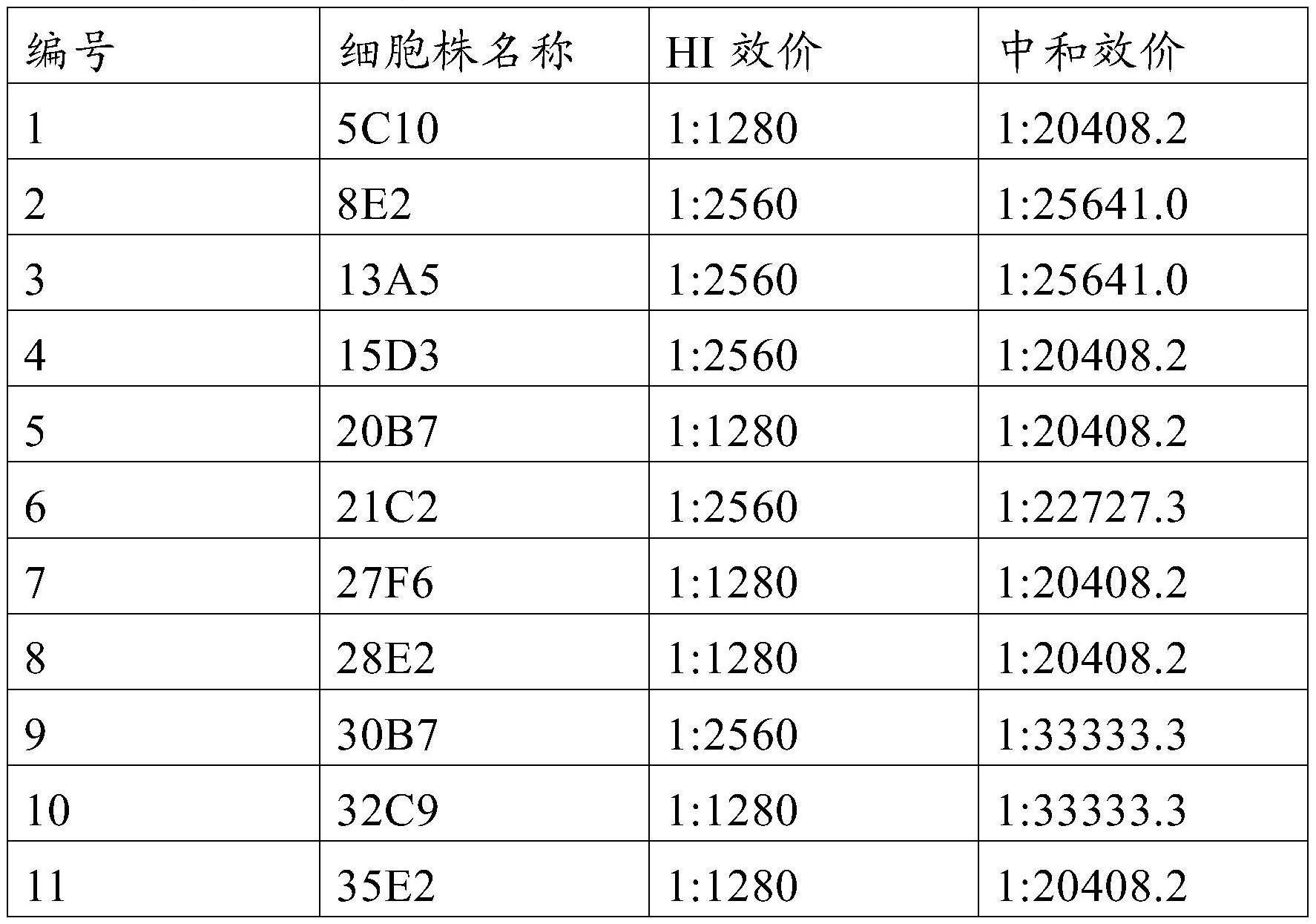 一种抗犬细小病毒鼠-犬嵌合抗体、表达其的细胞系、制备的药物制剂及其应用的制作方法