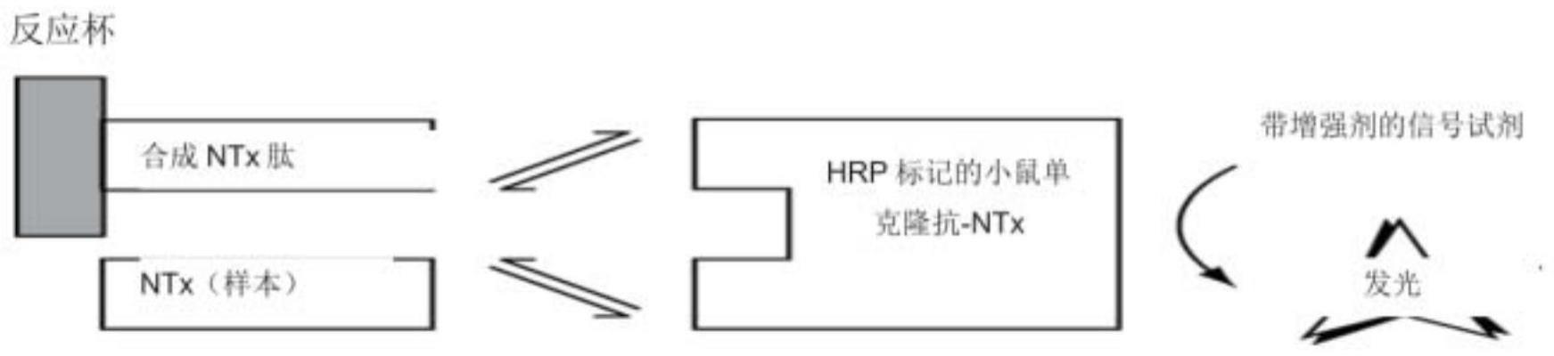 一种基于基线NTx的肿瘤骨转移检测方法与流程