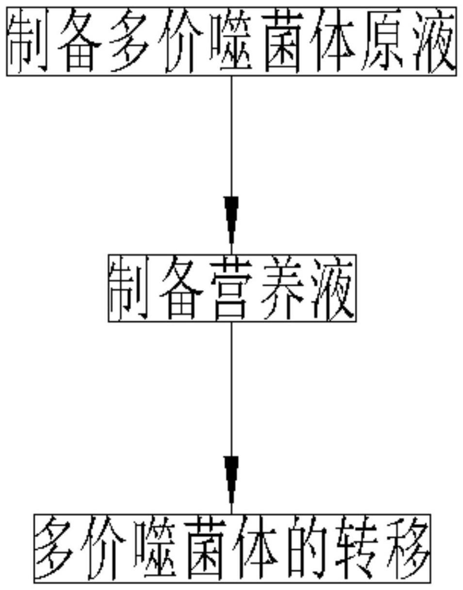 用于污染农田治理的含多价噬菌体土壤修复剂及制备方法与流程