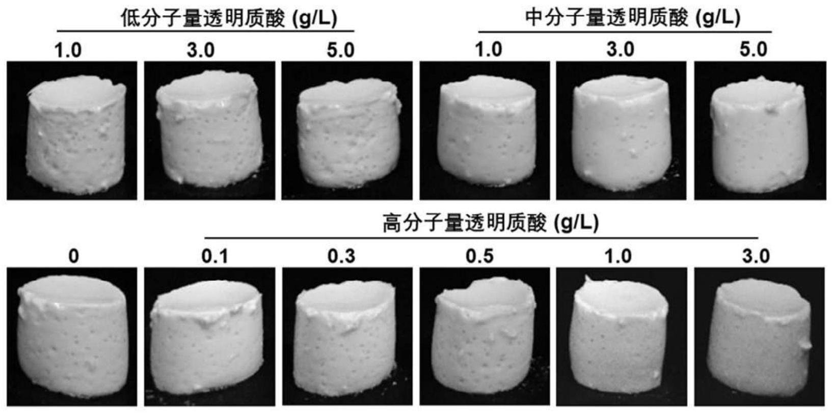 银杏果分离蛋白/透明质酸复合凝胶及其制备方法和应用与流程