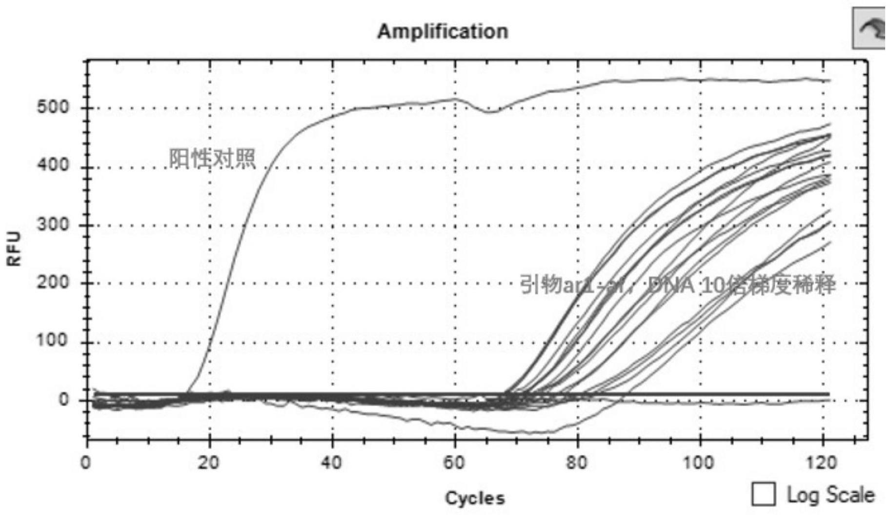 一种恒温快速检测大肠杆菌的引物组合物、试剂盒及应用