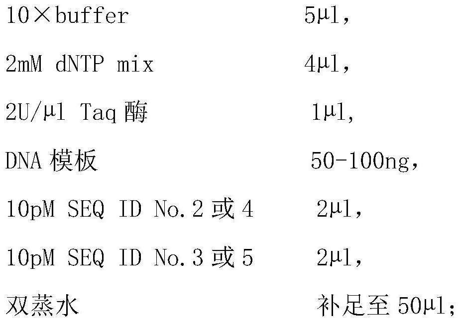 先天性心脏病相关DGKD基因新发变异位点及其应用