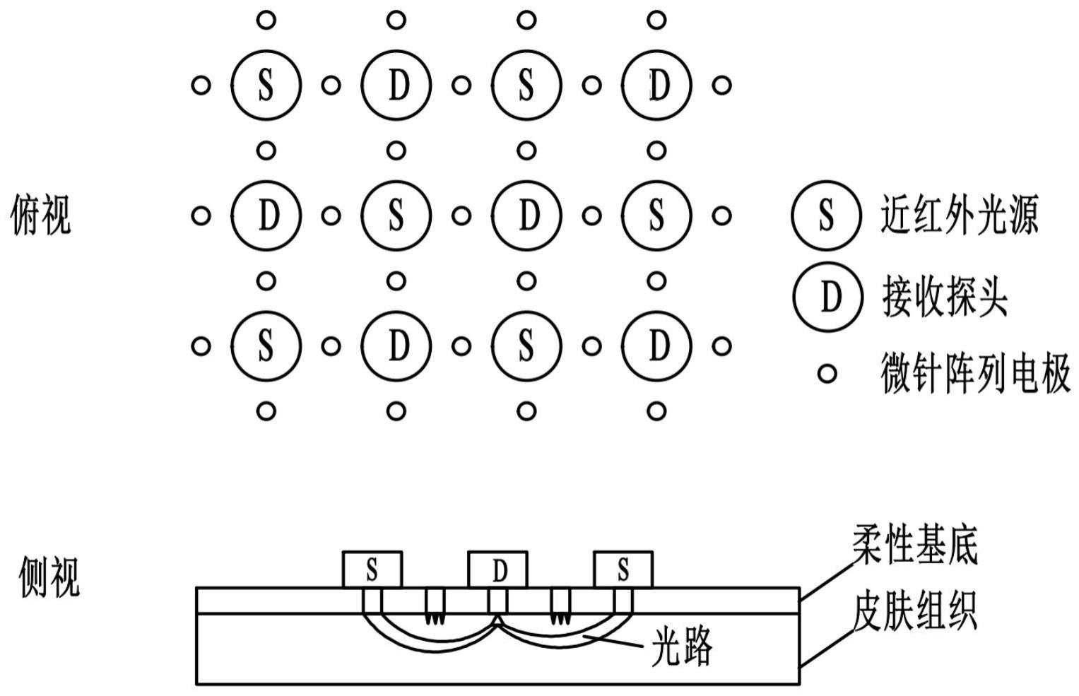 一种电生理信号与血液微循环信号同步检测装置