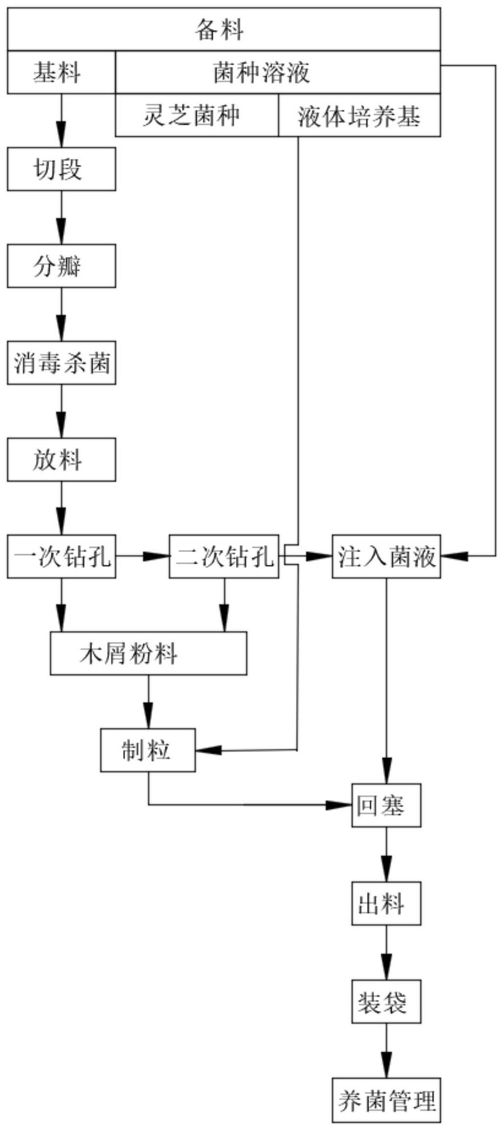 一种栎木灵芝菌种的培育方法与流程