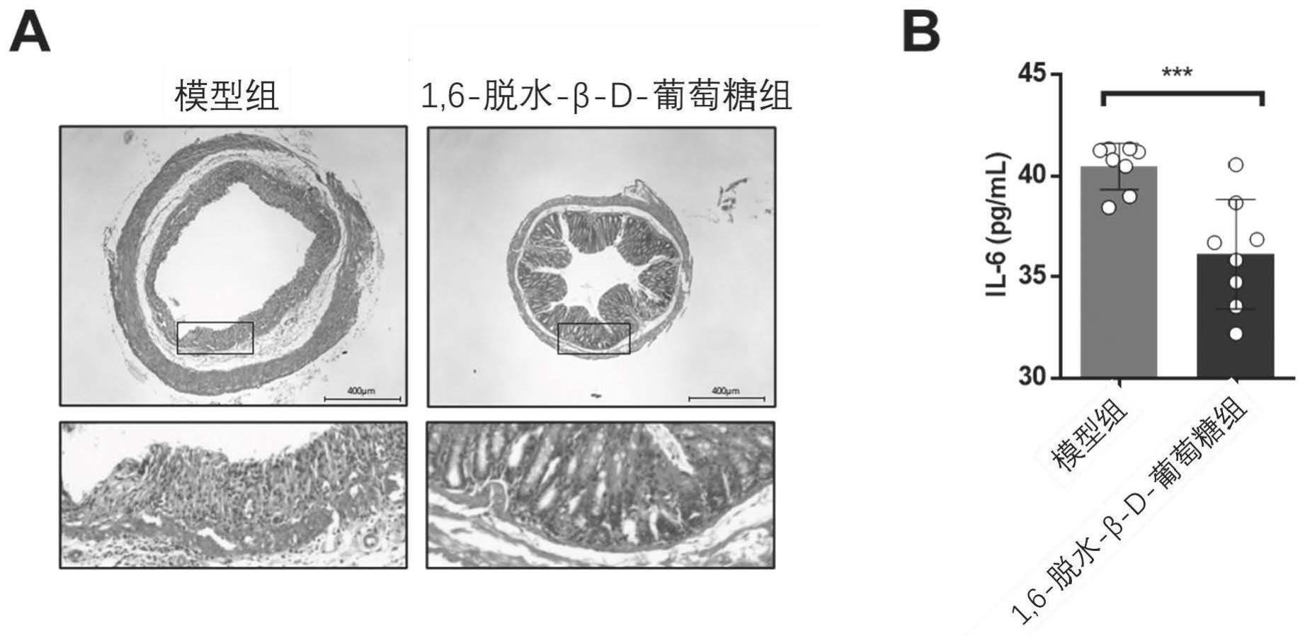 1,6-脱水-β-D-葡萄糖制备用于维持结肠上皮屏障和隐窝的完整性以及抗结肠炎的食品药品的应用