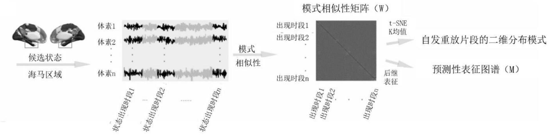 一种识别和量化脑自发活动预测性地图样表征的方法