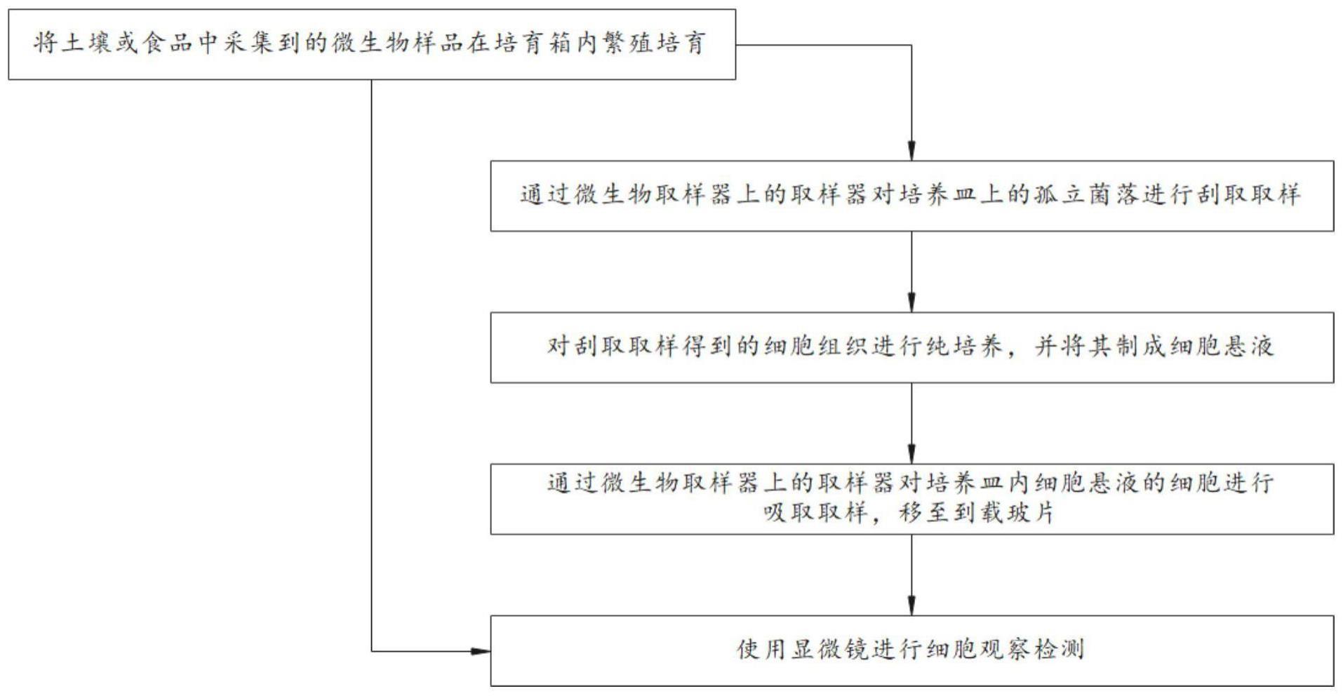 一种微生物检测系统及其检测方法与流程