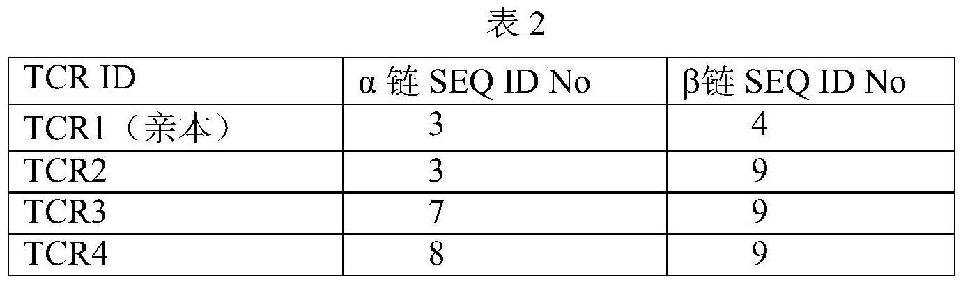 T细胞受体的制作方法