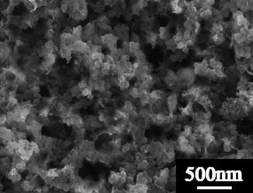 多孔聚合生物载体及其在废水生物处理中的应用的制作方法