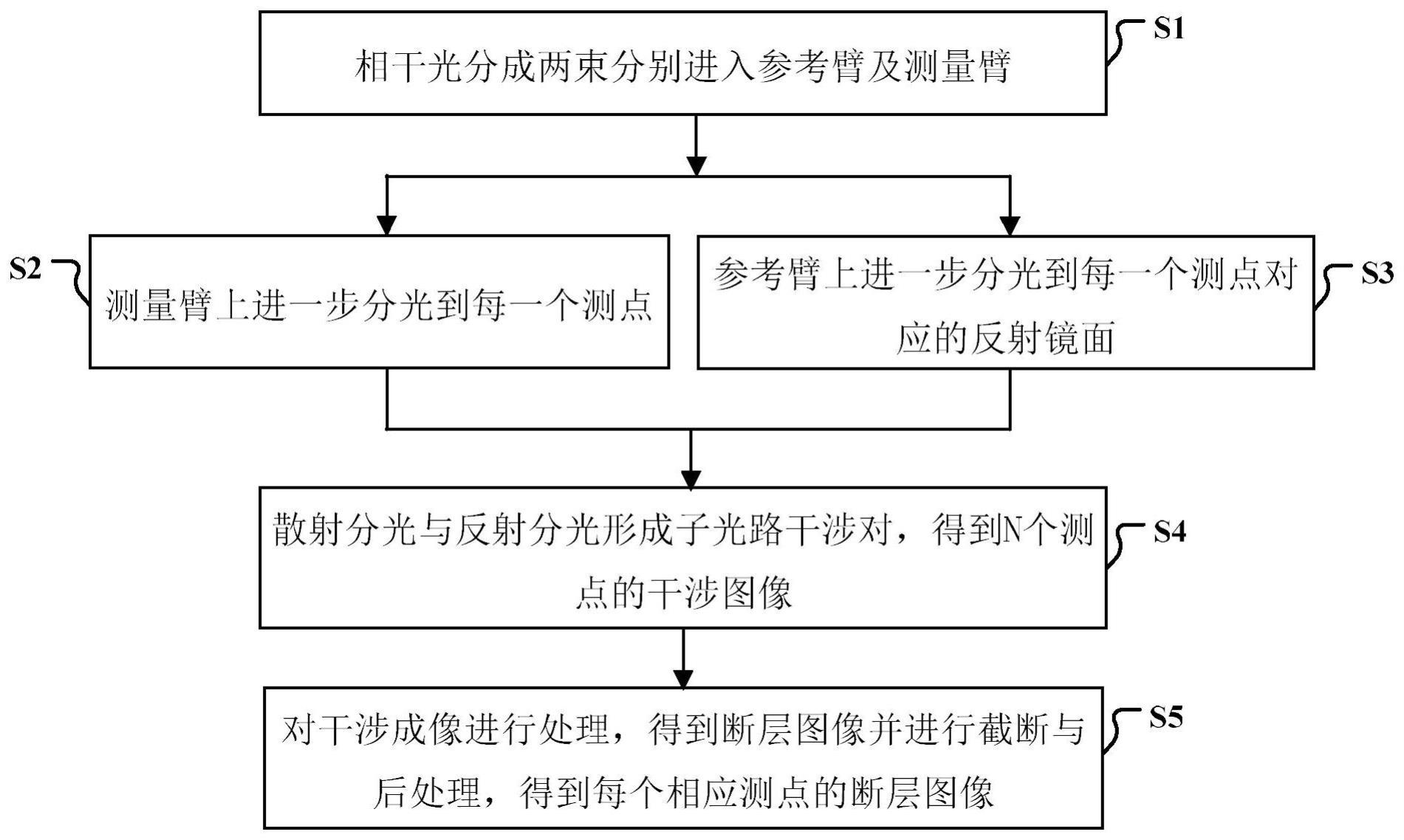 一种光学相干断层多点分布式成像方法