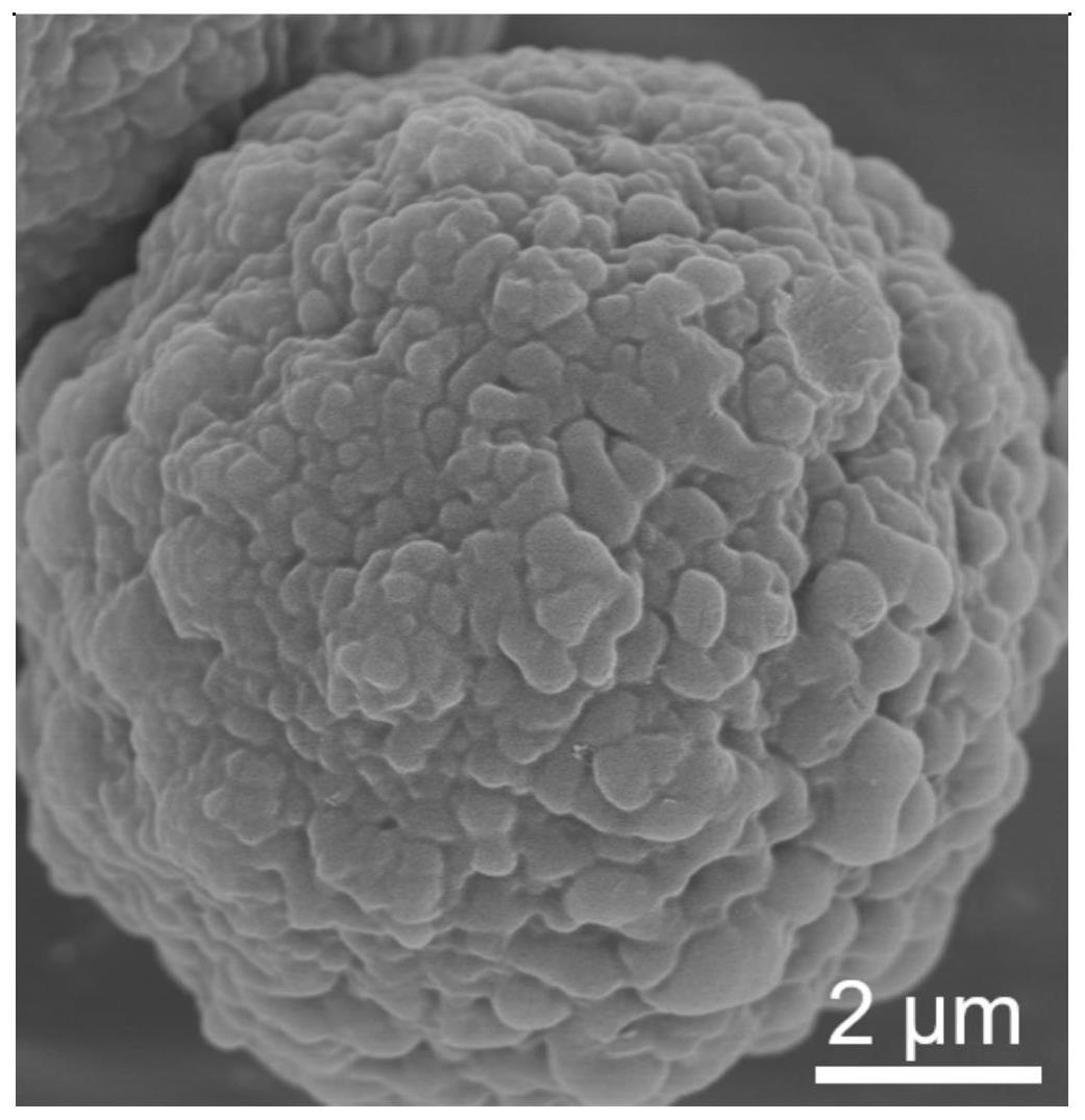 一种生物质衍生的3D花状结构N/O共掺杂碳材料及其制备方法