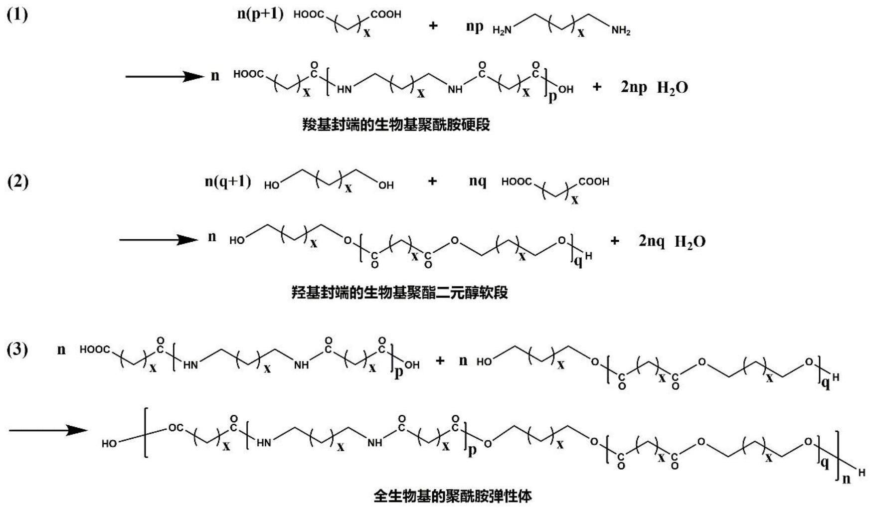 一种全生物基的聚酰胺弹性体的制备方法