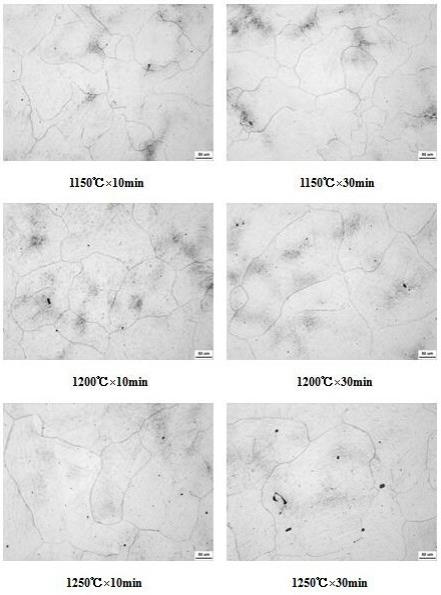 一种获得准确奥氏体晶粒尺寸的热模拟方法与流程