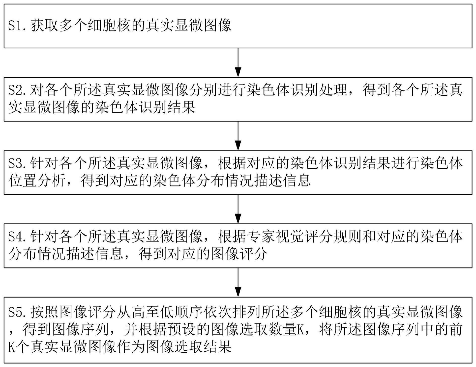 染色体图像可解释评估选取方法、装置、设备及存储介质与流程