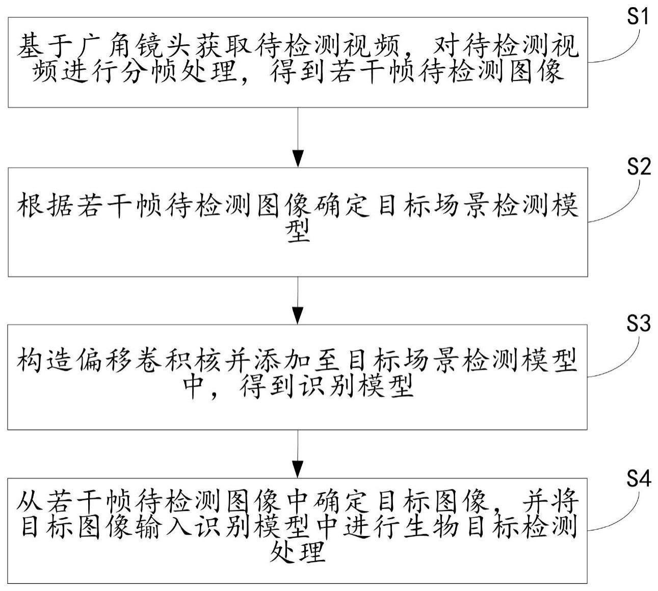 基于偏移卷积核的广角镜头生物目标检测方法与流程