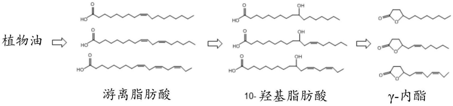 天然内酯和羟基脂肪酸及其制备方法与流程