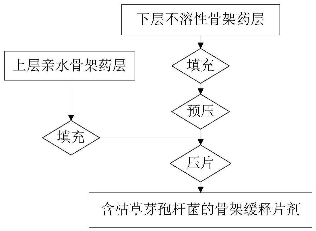 含枯草芽孢杆菌的骨架缓释片剂及其制备方法与流程