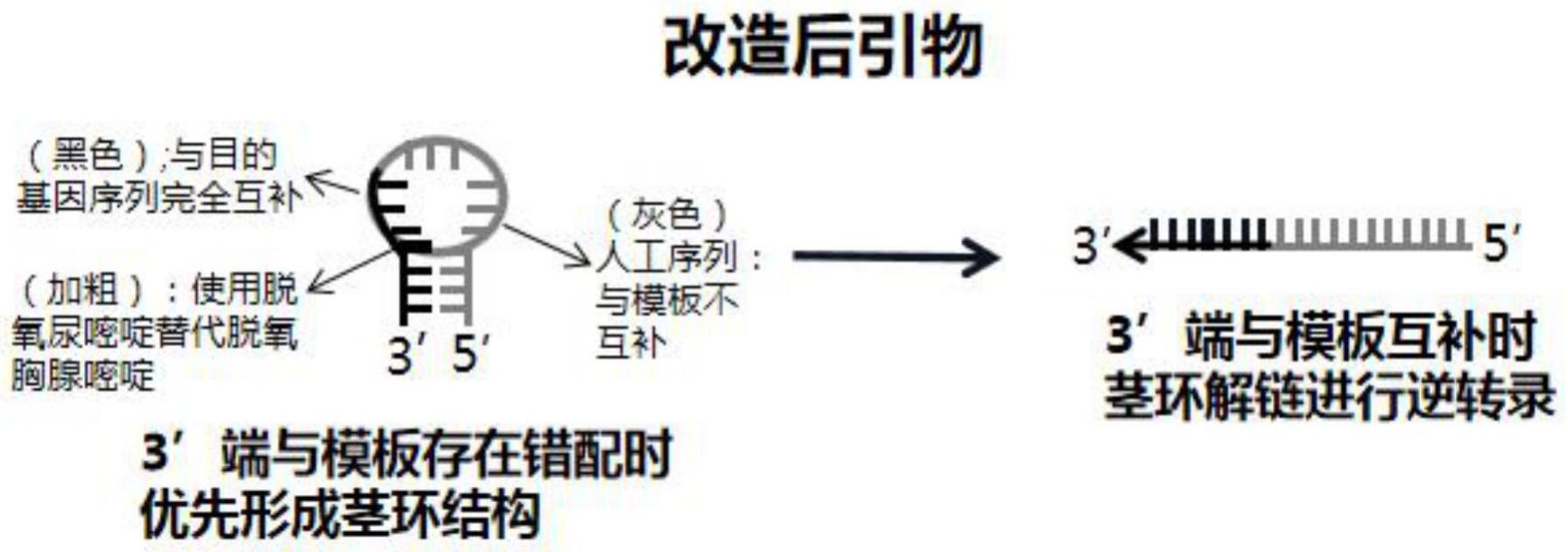 一种区分病原体dna Rna的核酸检测方法及试剂盒与流程