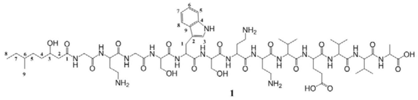 十三肽衍生物及其制备方法和应用
