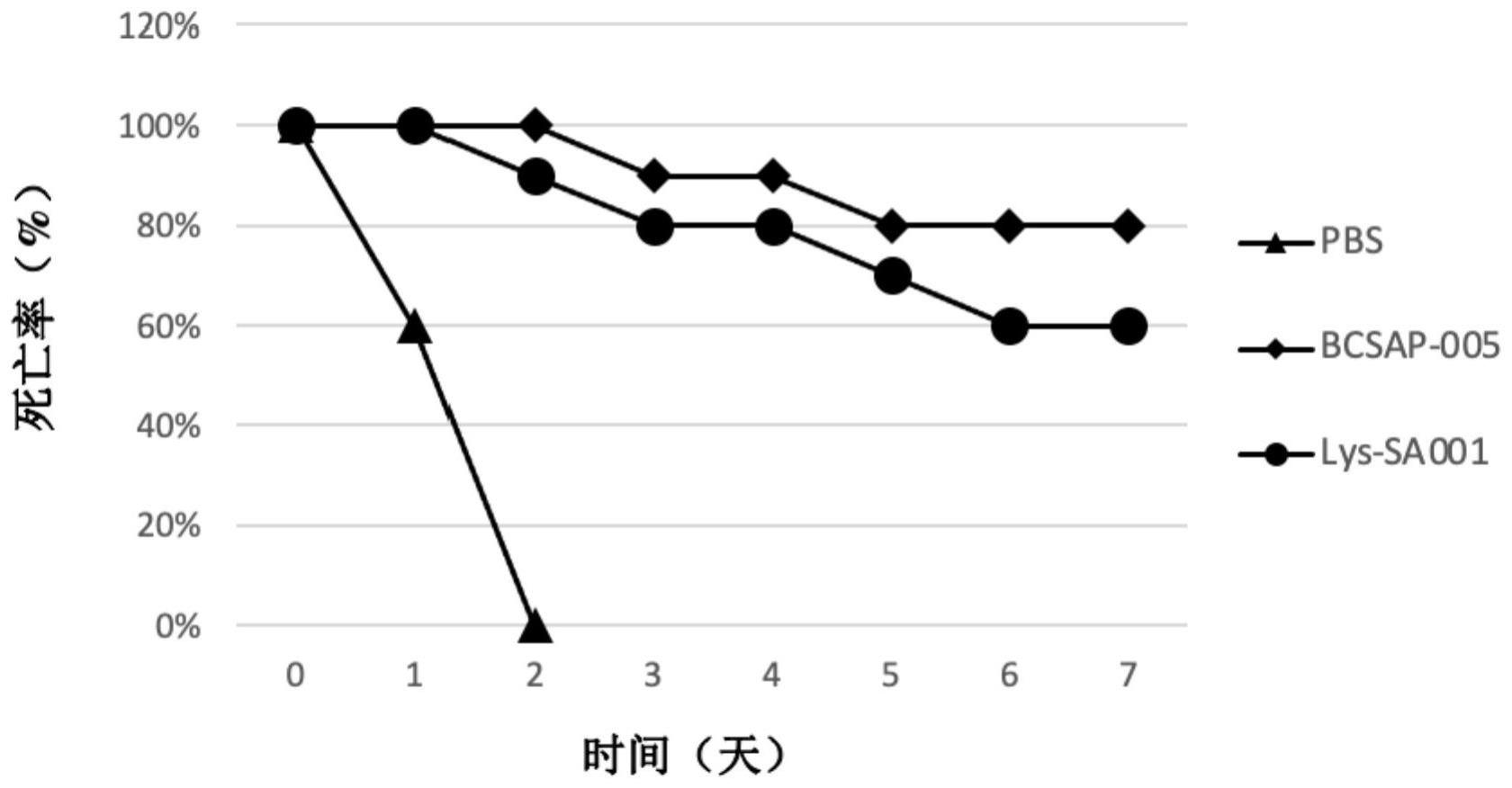 噬菌体裂解酶图片