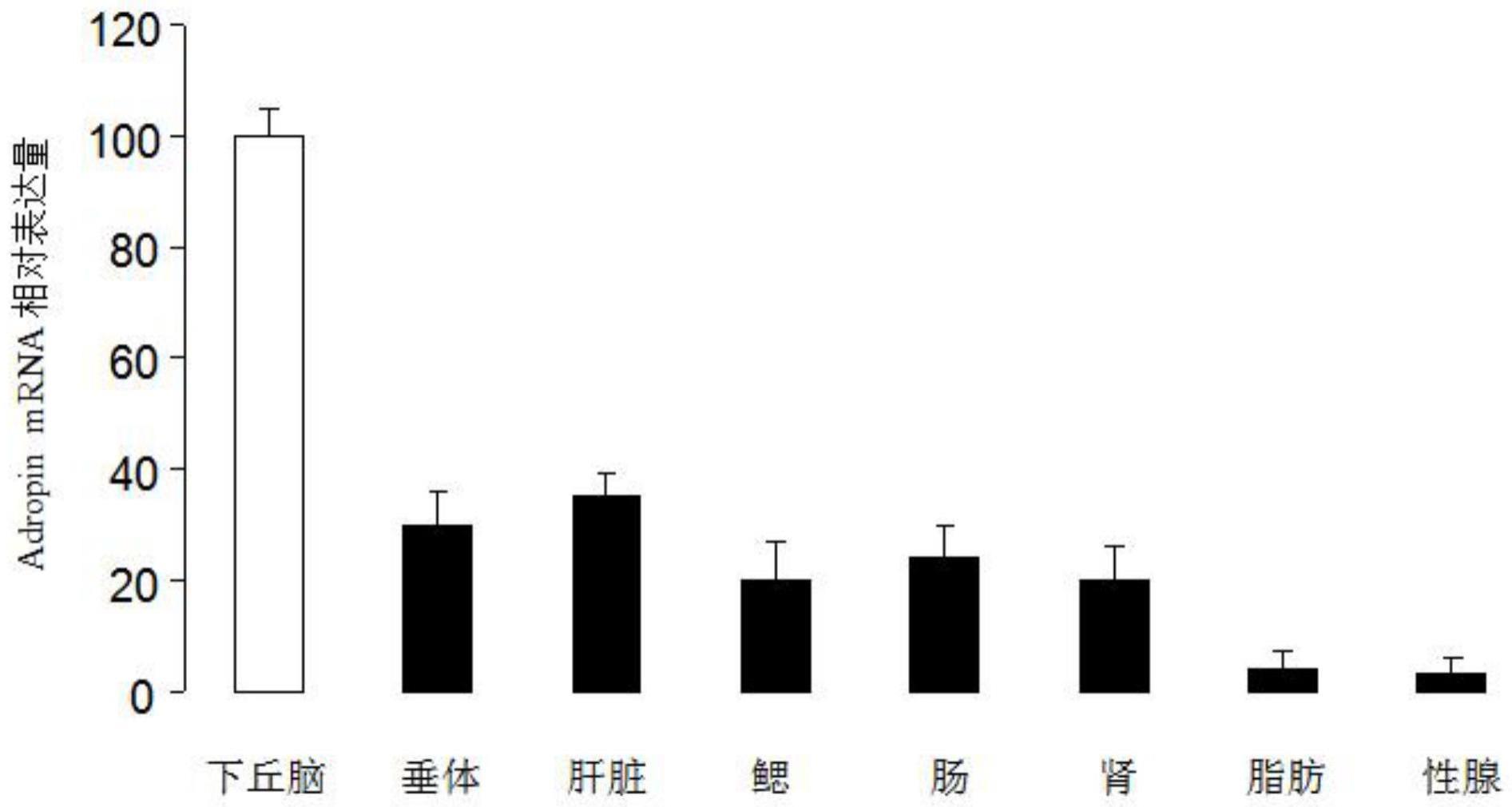 鱼类促摄食成熟肽adropin及其应用和鱼类诱食剂