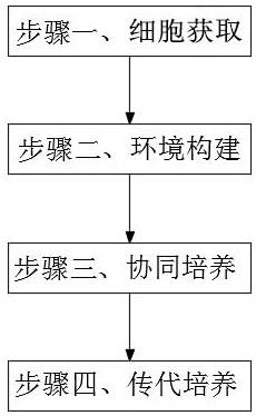 一种脑源性神经前体细胞培养的方法与流程