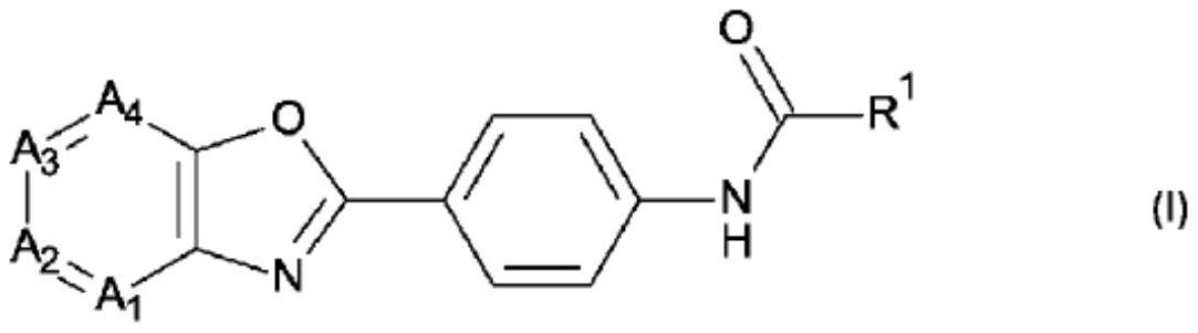 用于治疗和预防乙型肝炎病毒感染的N-取代4-(1,3-芳基并噁唑-2-基)苯基化合物的制作方法