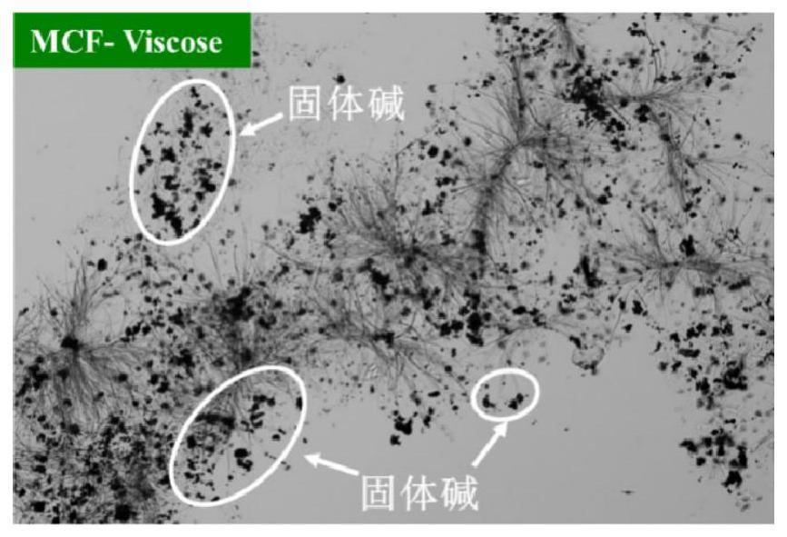 一种用于制备微米纤维素纤维的富含氨基的固体碱及其制备方法和应用