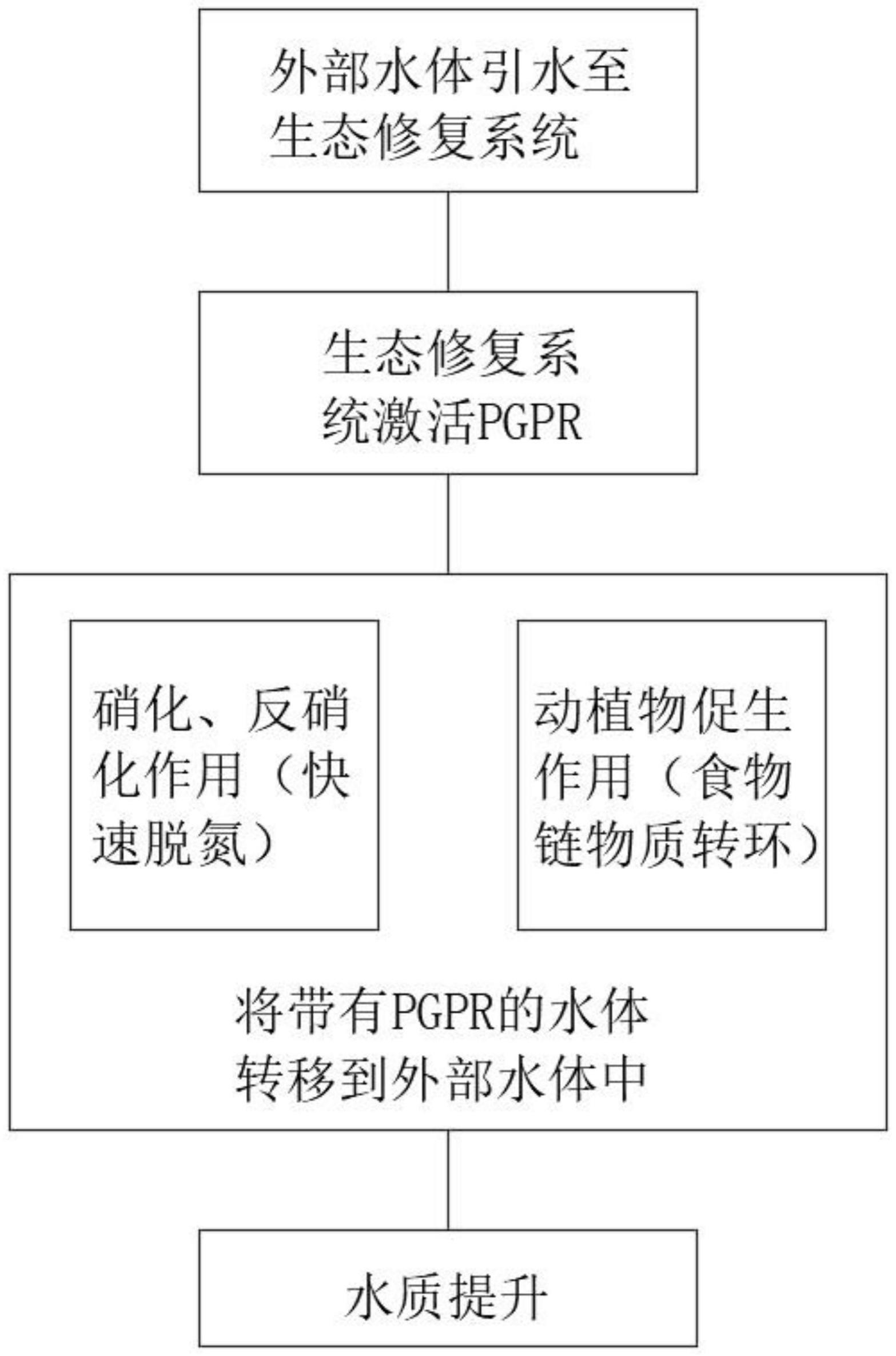 一种ISSAPGPR联合植物修复富营养化河湖的技术