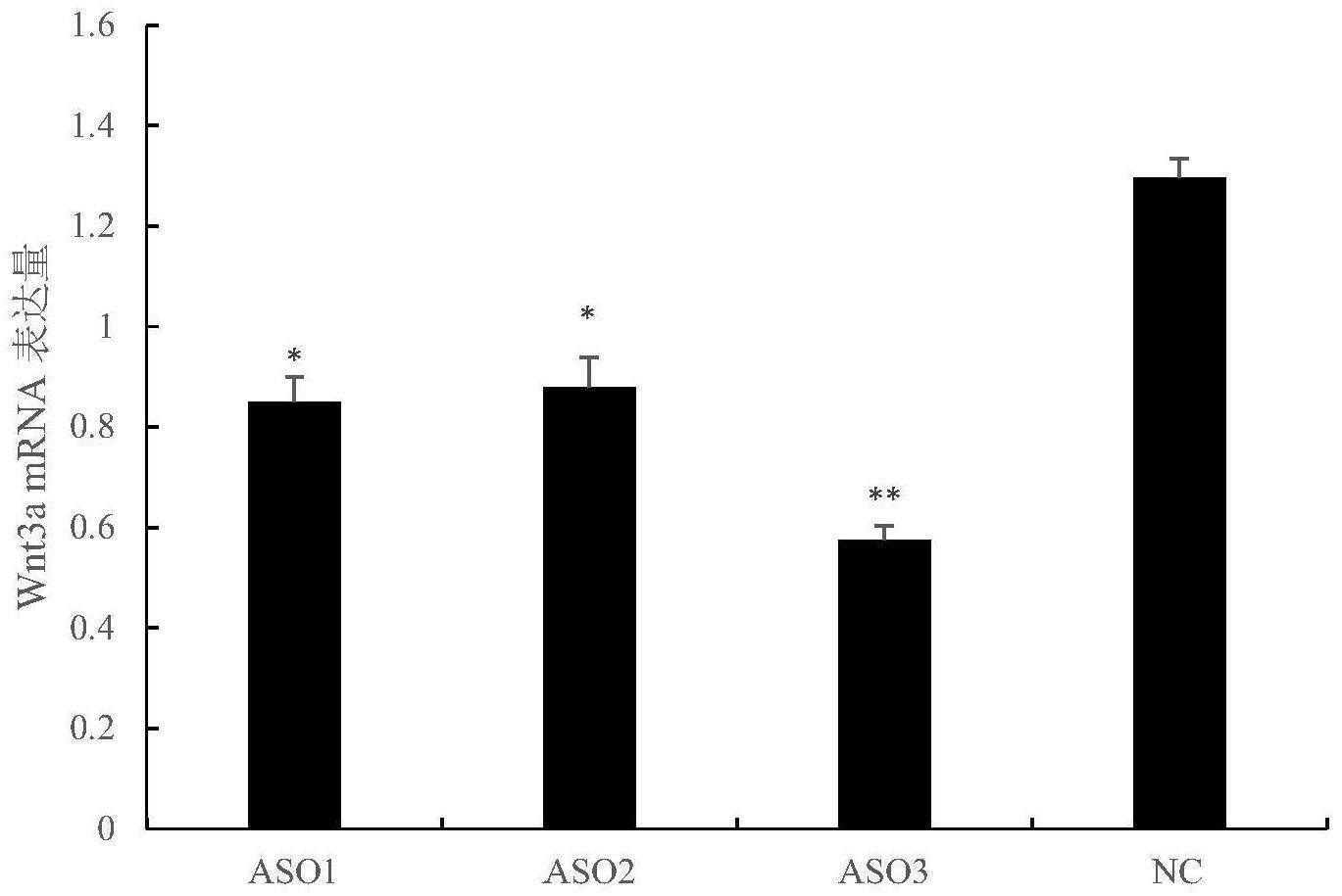 一种抑制鸡Wnt3a基因表达的ASO及其应用的制作方法