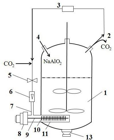 一种制备大孔拟薄水铝石的装置的制作方法