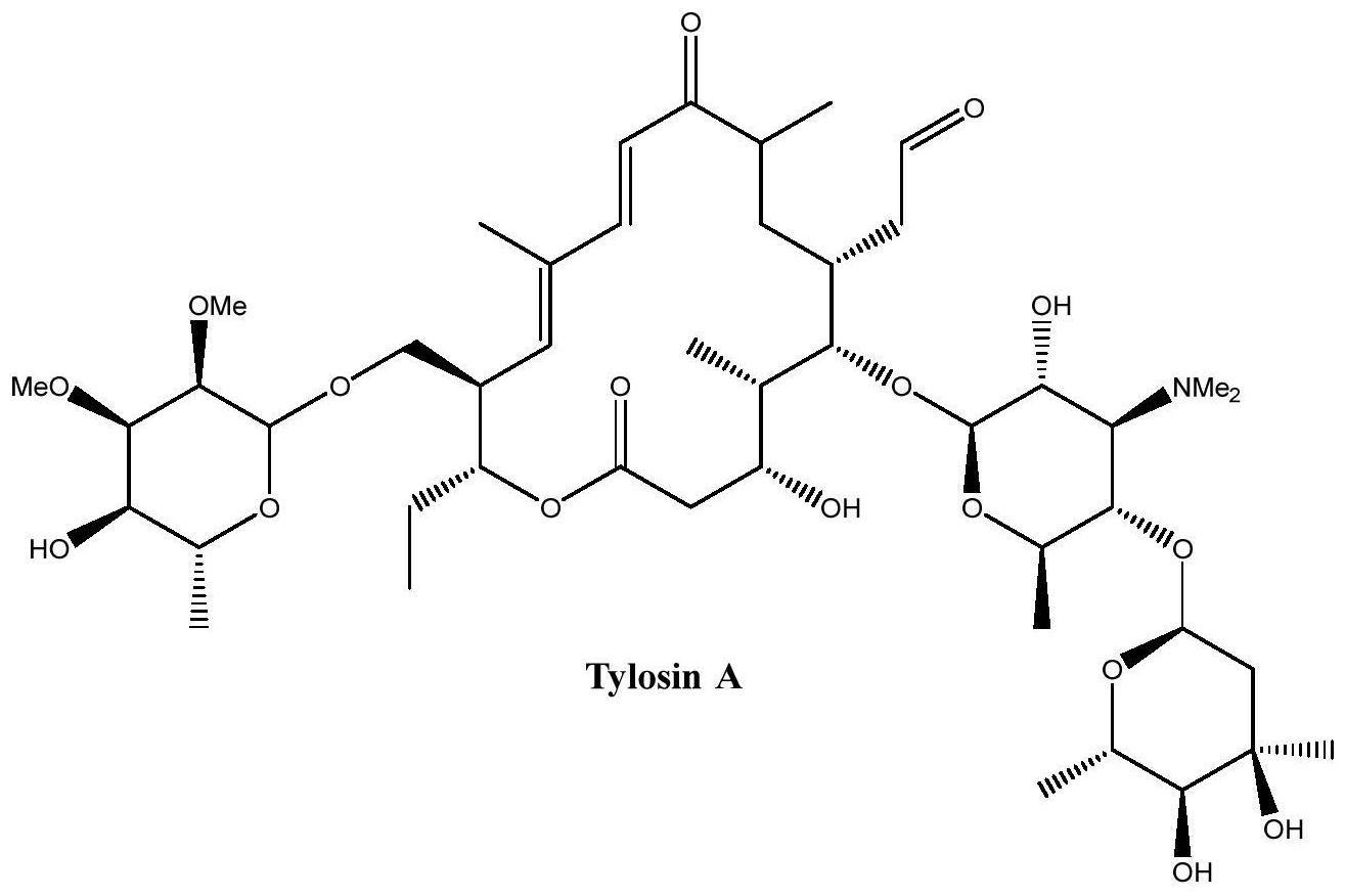 菌株及其在制备泰乐菌素A中的应用