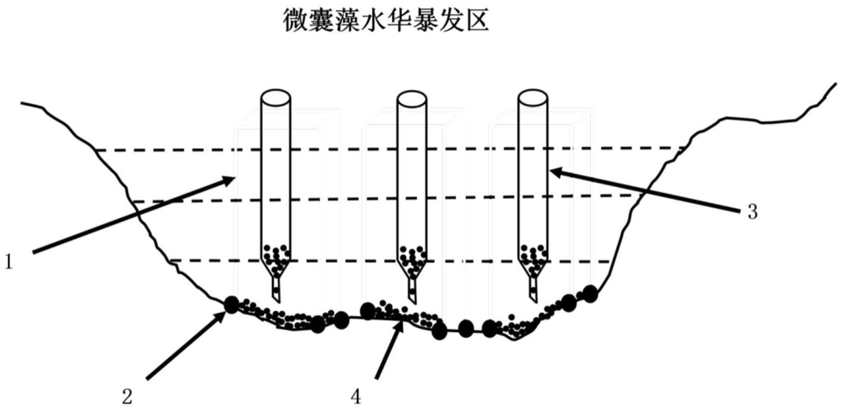 一种抑制沉积物中微囊藻复苏成灾的原位覆盖技术方法与流程