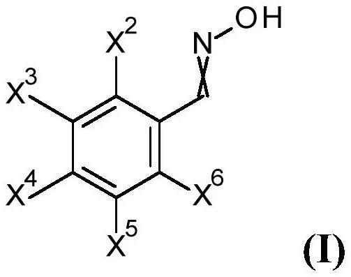苯甲醛肟及其制备方法与流程