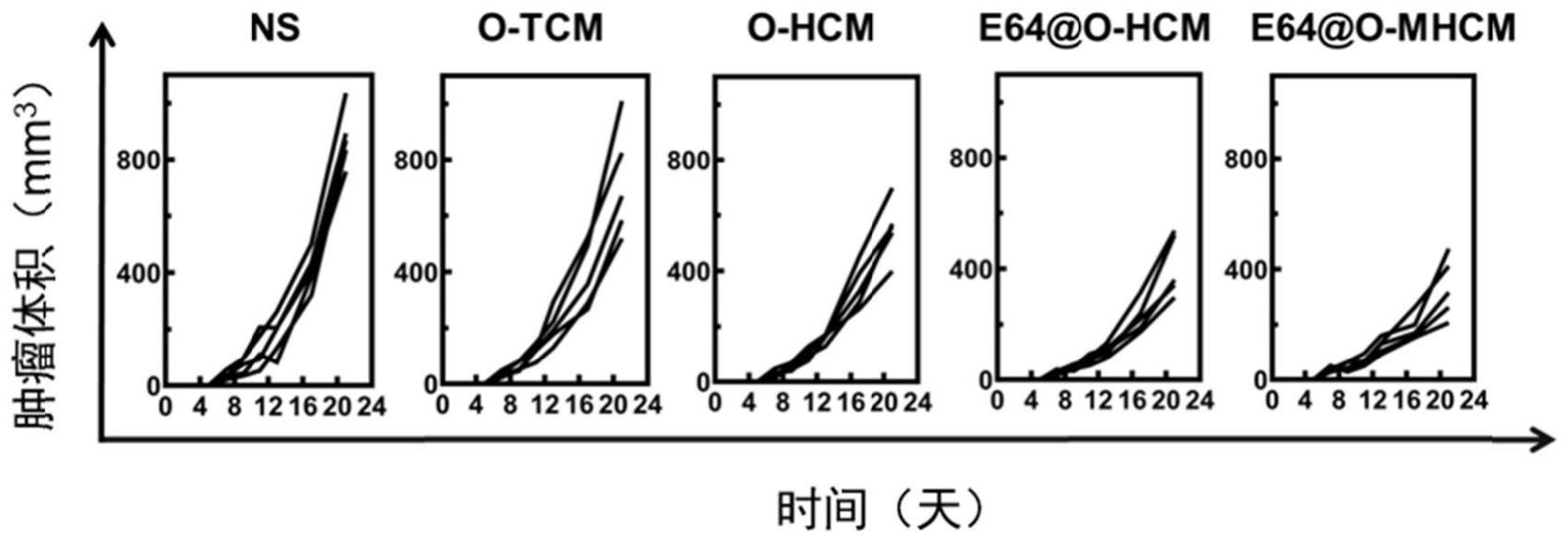 一种基于生物膜凝胶的肿瘤疫苗及其制备方法和应用与流程