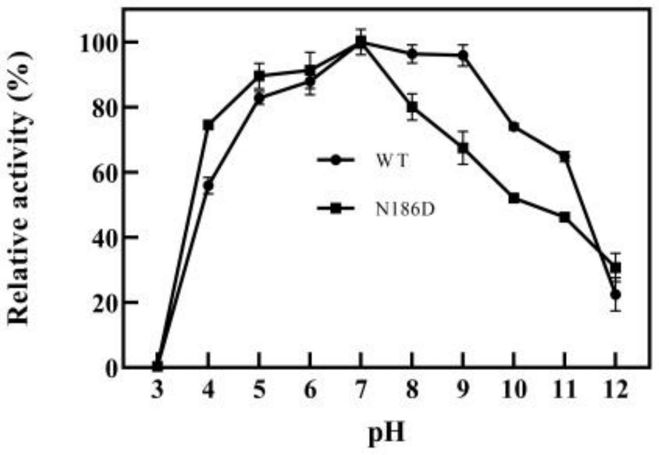 耐酸性提高的β-甘露聚糖酶突变体N186D及其制备和应用