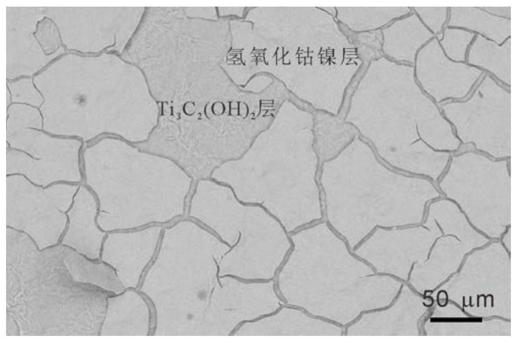 一种在不锈钢网上构建的羟基修饰碳化钛 氢氧化钴镍多层柔性电极及其制备方法