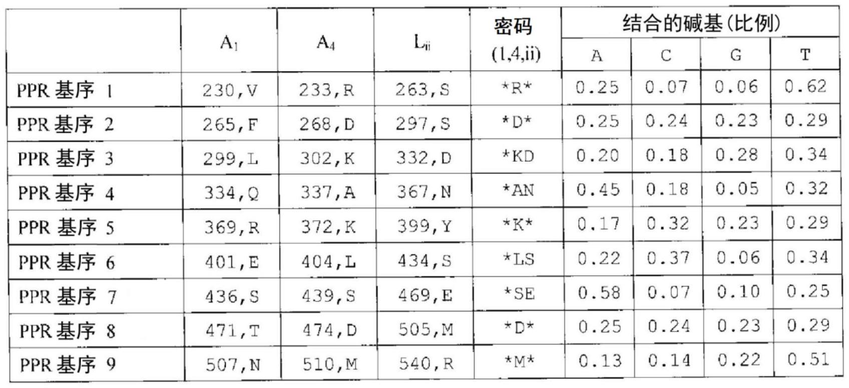 利用PPR基序的DNA结合性蛋白质及其应用