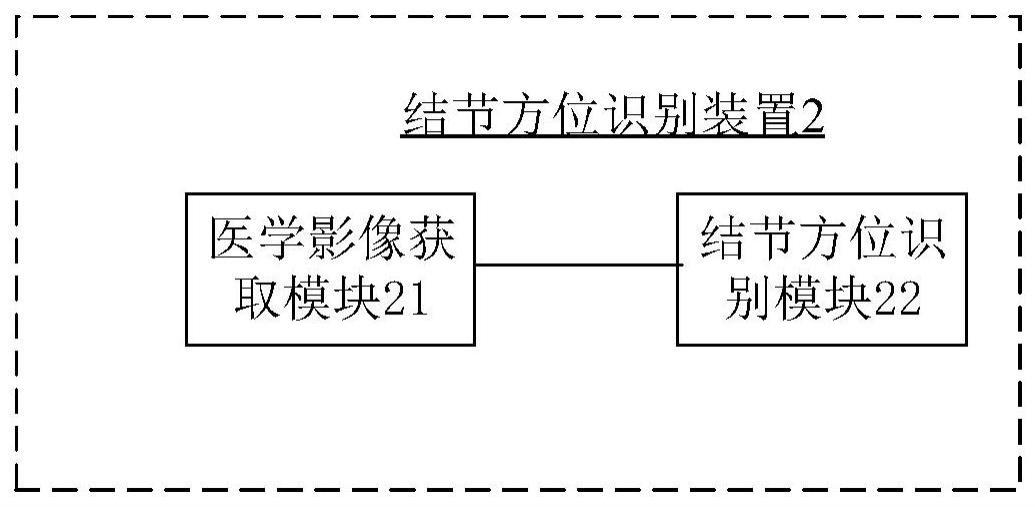 结节方位识别装置、方法、存储介质及电子设备与流程