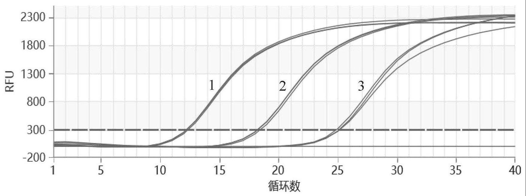 同时检测鸡毒支原体和鸡滑液囊支原体的引物组及应用