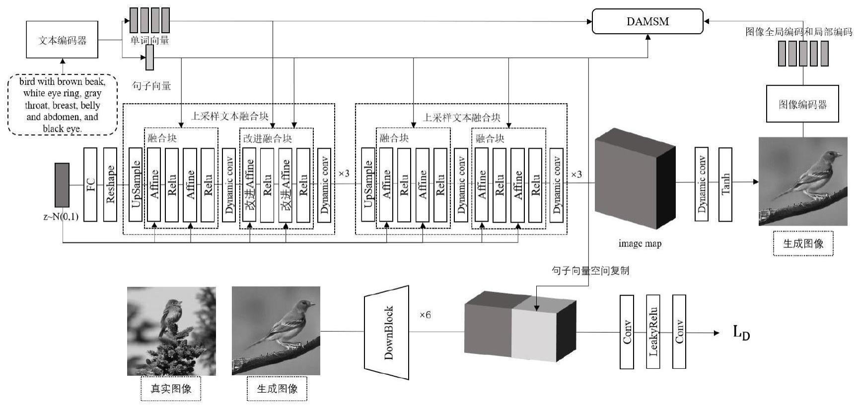 一种基于对比学习和动态卷积的细粒度文本生成图像方法