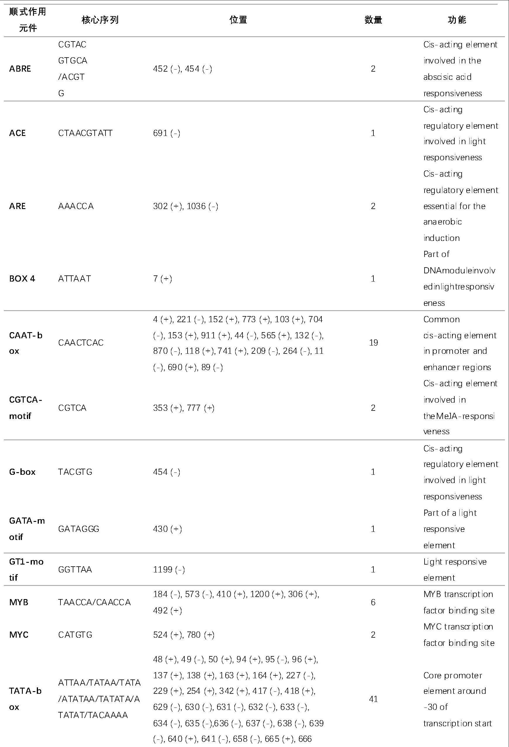 红比利时杜鹃花瓣来源的黄酮醇合成酶基因启动子及其制备方法和应用