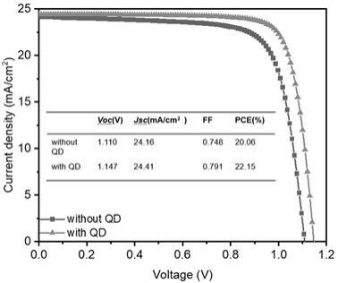 功能型配体-钙钛矿量子点复合材料修饰的太阳能电池