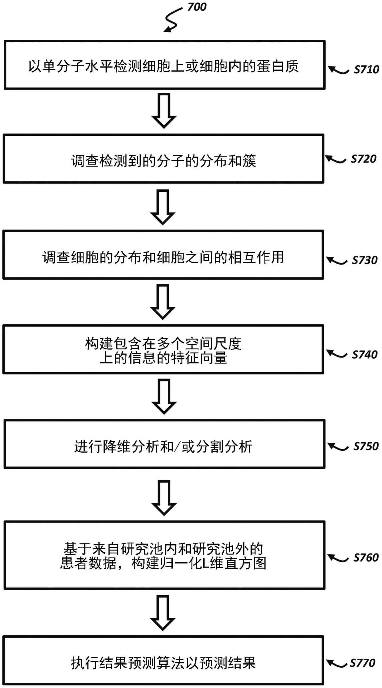 细胞分类算法及该算法告知和优化医学治疗的应用的制作方法