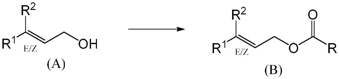 在仲羟基及其催化剂的存在下选择性酰化伯羟基的方法与流程
