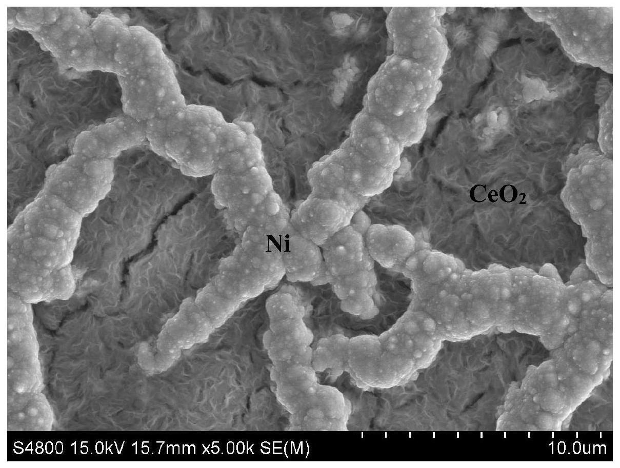 一种电化学沉积制备CeO2/NiO涂层的方法及其应用