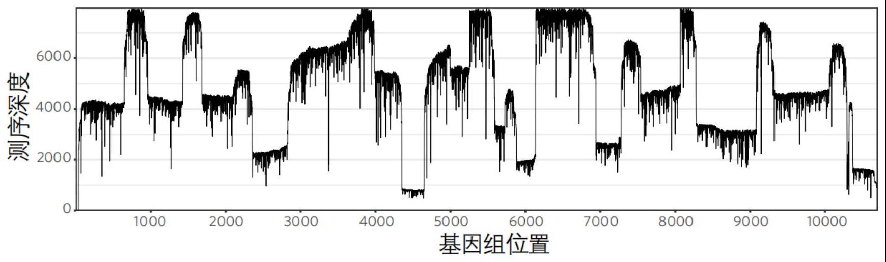 一种用于扩增血清型登革I型病毒基因组的引物组与试剂盒及应用