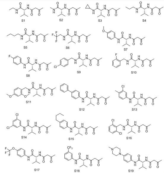 一类酰胺衍生化合物及其用途的制作方法