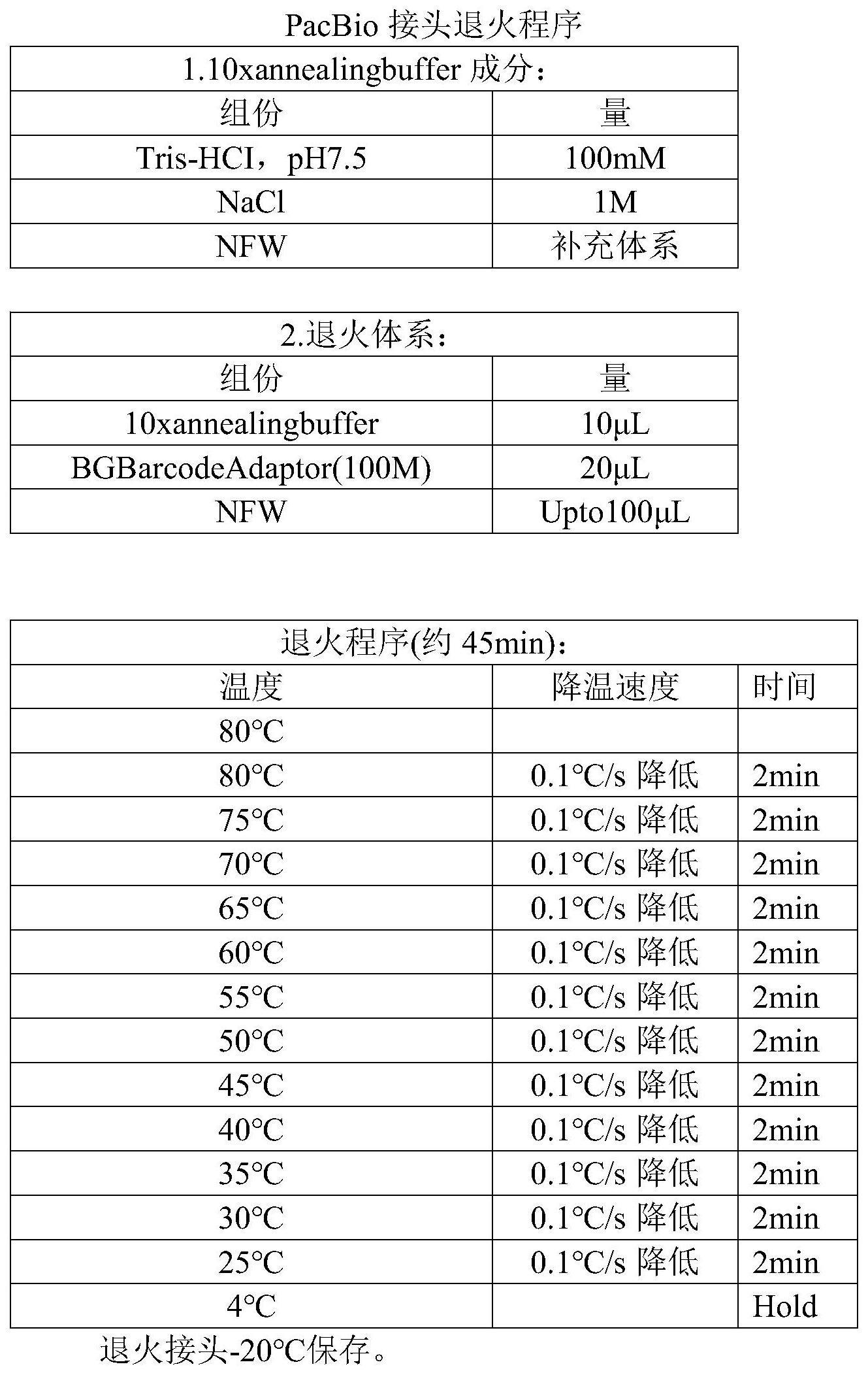 一种ABO基因扩增引物、扩增体系、扩增方法、测序文库构建方法及测序方法与流程