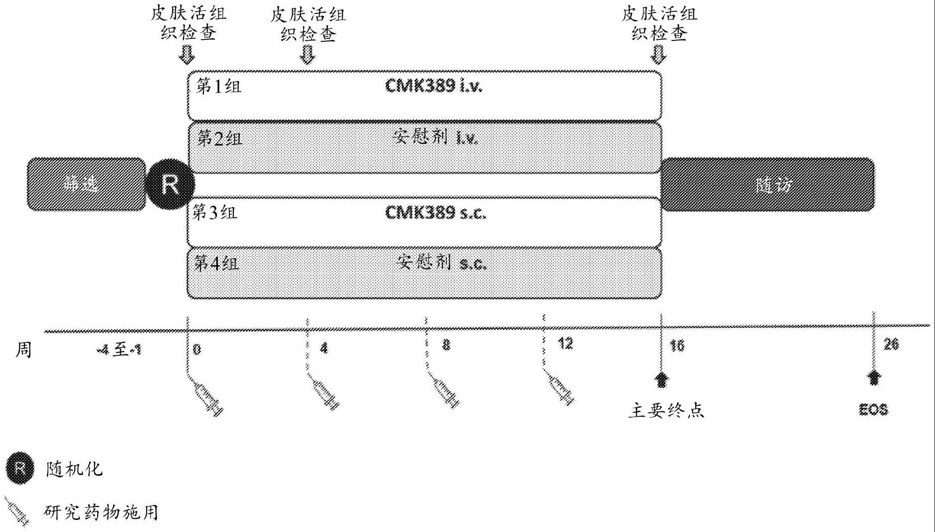 IL-18拮抗剂用于治疗和/或预防特应性皮炎或相关病症的用途的制作方法